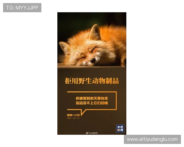 爱体育应用客户端:您的个人体育助手,助力追踪体育动态与交流 爱体育应用客户端:您的个人体育助手,助力追踪体育动态与交流