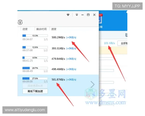 掌握开云下载国际入口技巧，提高下载速度与使用效率的实用建议