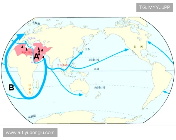 世界杯伊朗VS埃及比赛期间的住宿攻略，助你轻松安排行程